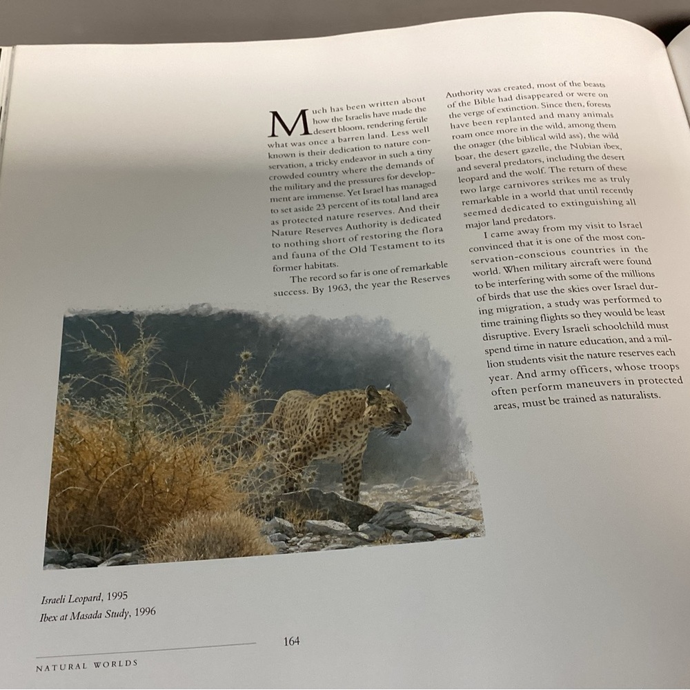 🟡 Vintage Robert Bateman - Natural World Large Coffee Table Book - Rick Archbold - Picture 11 of 16